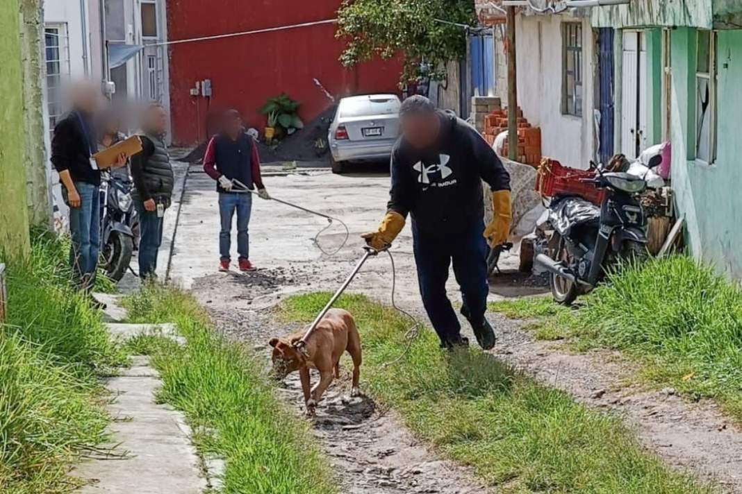 Tlaxcala interviene en Acuitlapilco para garantizar bienestar animal y seguridad