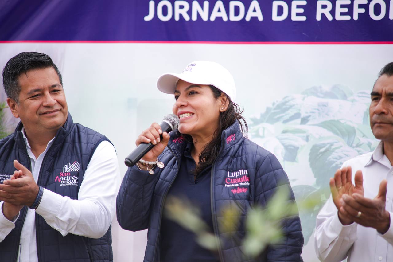 reforestacion sach 7