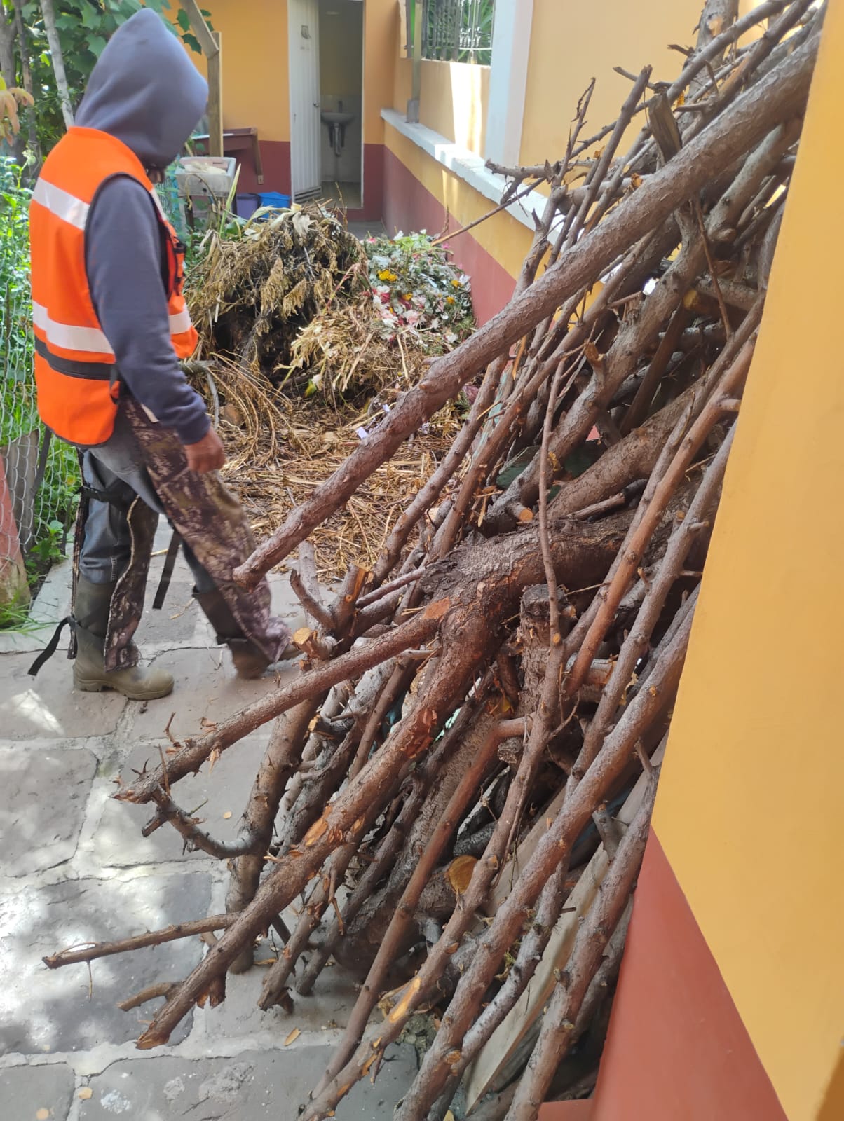 refuerza spch acciones espacios 4