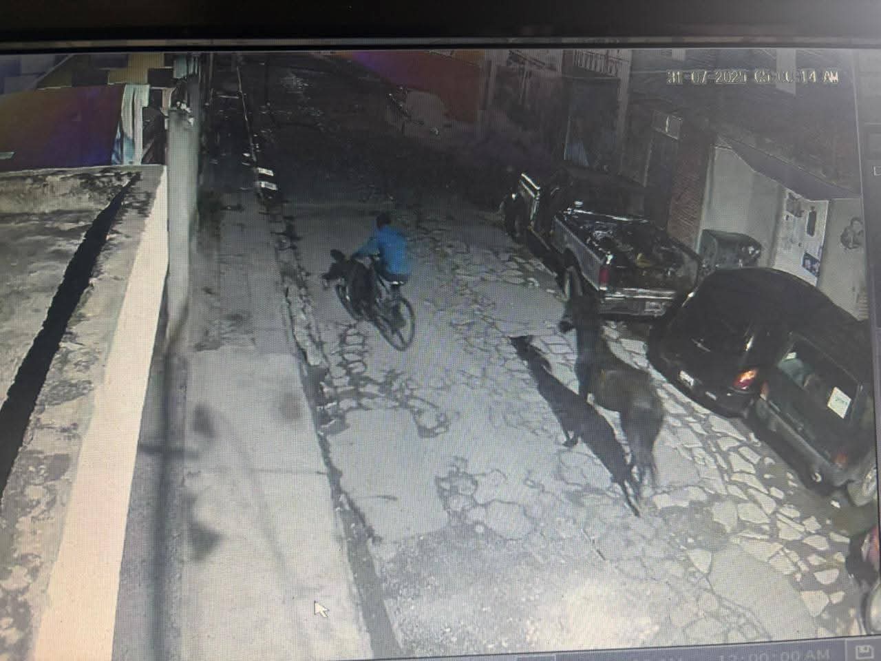 Roban caballo negro en San Pedro Cholula; solicitan apoyo para localizarlo