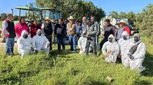 Yauhquemehcan refuerza el campo con operativo contra la plaga del chapulín