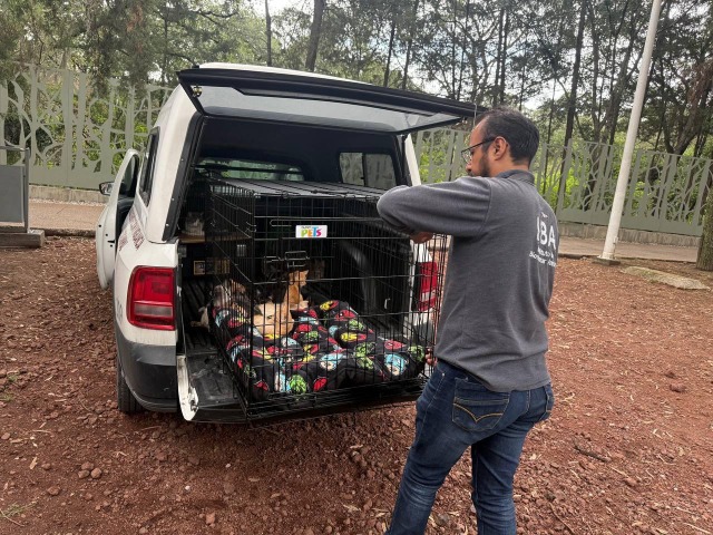 Foto: Cortesía Gobierno de Puebla construirá Centro de Bienestar Animal