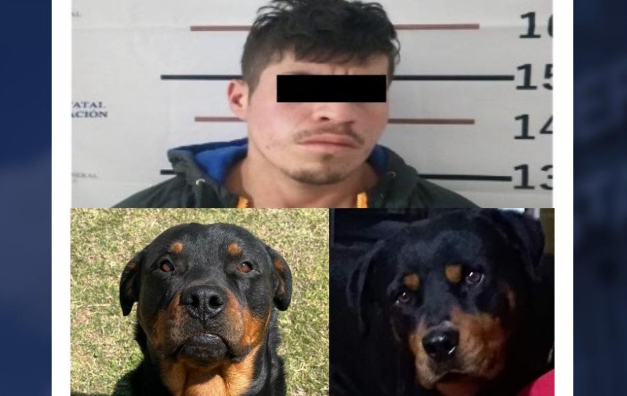 Foto: Cortesía Vinculan a proceso a joven por envenenar a dos perros en Chignahuapan