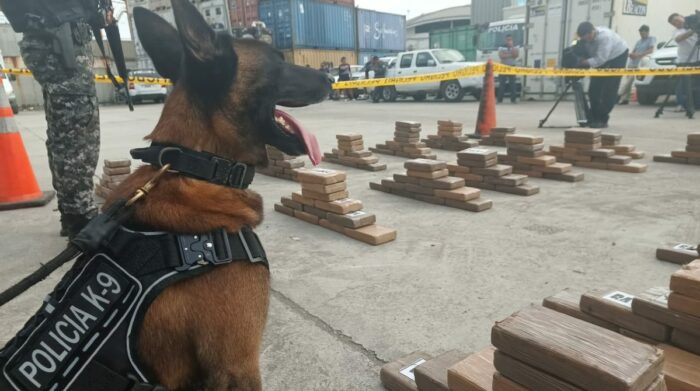 Foto: Cortesía Perro policía halla 200 kg de cocaína en Ensenada; hay más detenidos