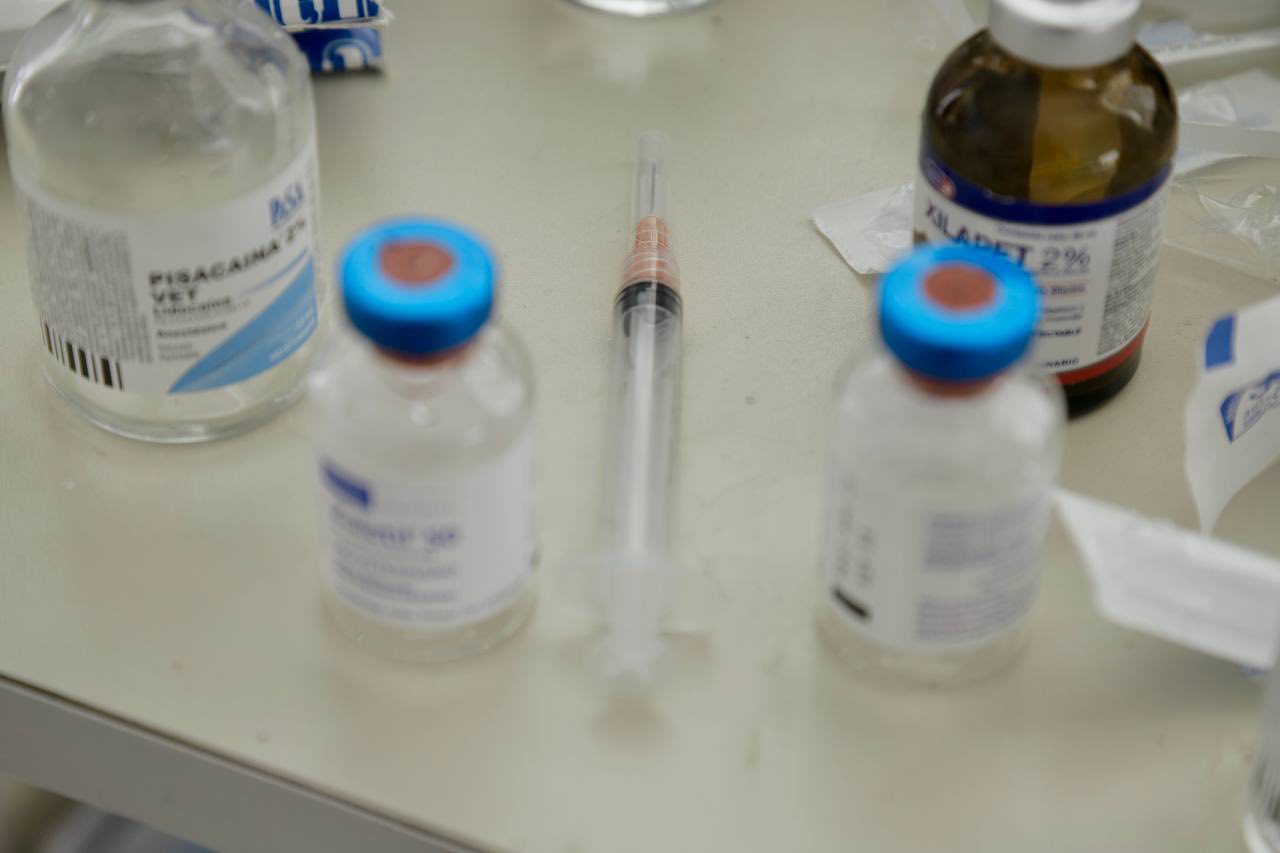 permanente vacunación antirrabica sach 3