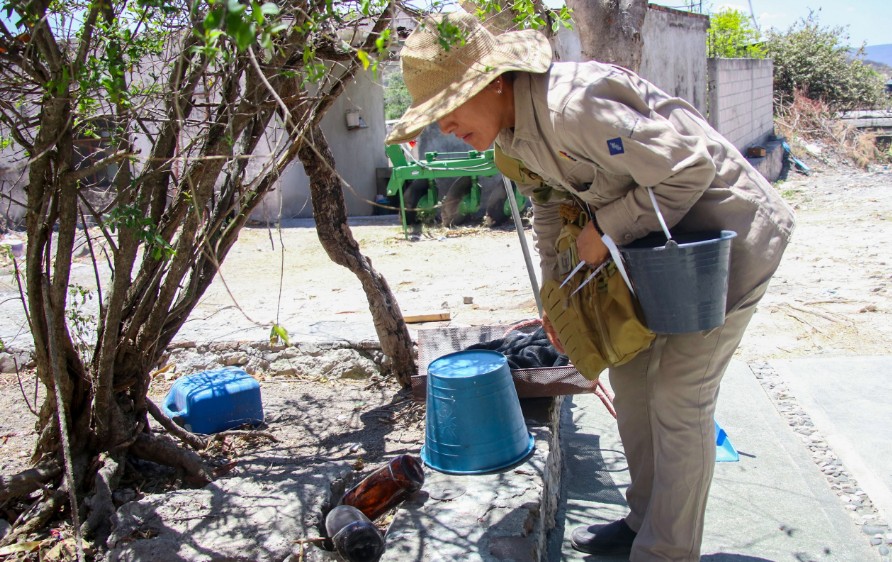 Foto: Cortesía Dengue en Puebla: casos bajan 81% durante 2025