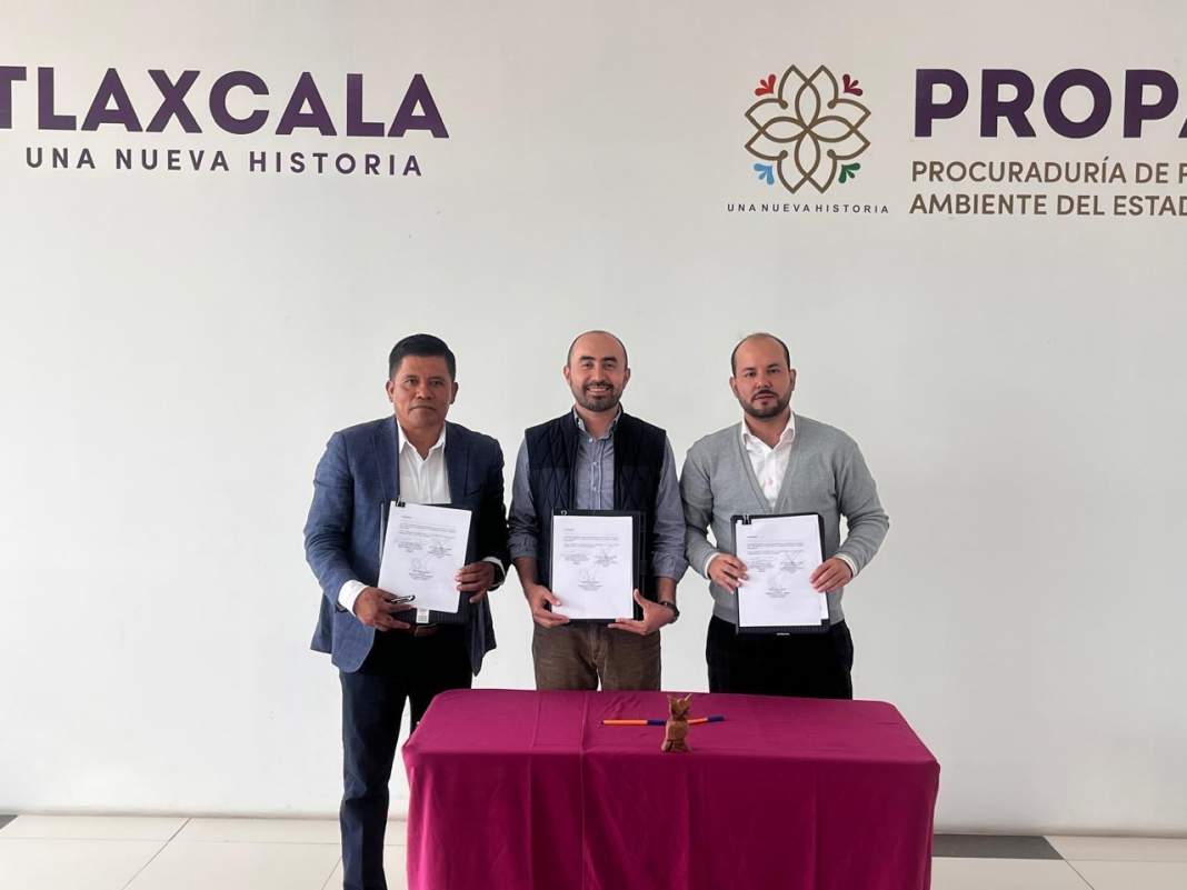 Propaet y Conafor impulsan capacitación para conservar bosques en Tlaxcala