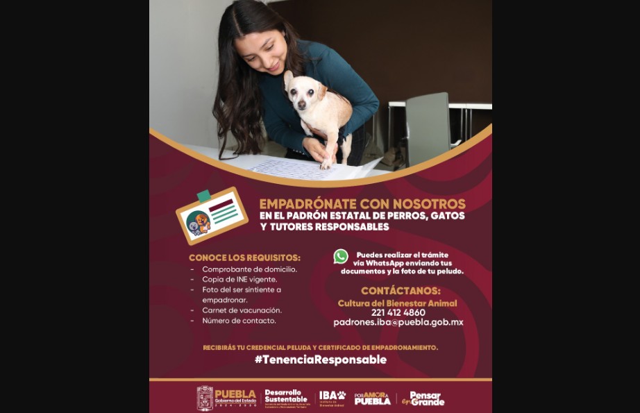 Foto: Cortesía Puebla no aplica el Registro Único de Animales de Compañía (RUAC)