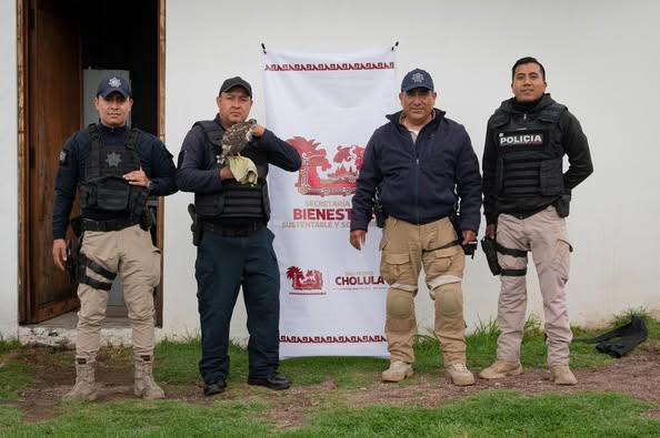 recatan gavilan cooper spch 1