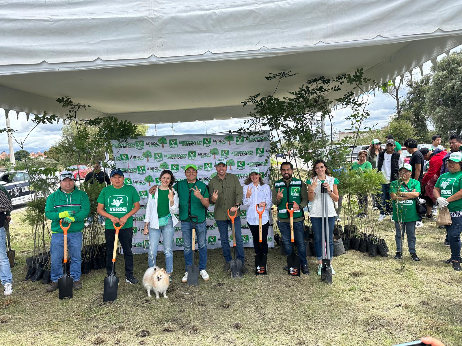 Por: Cortesía Lula Pineda Partido Verde realiza jornada de reforestación en San Martín Texmelucan