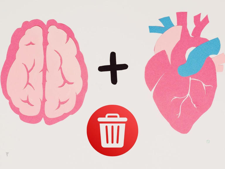 Foto: Cortesía ¿Cómo elimina el cerebro los malos recuerdos? Científicos lo descubren