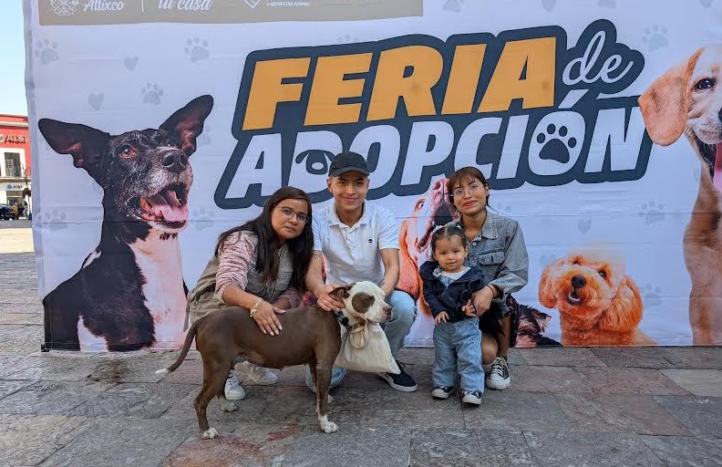 Foto: Cortesía Atlixco promueve el bienestar animal con jornadas de adopción responsables