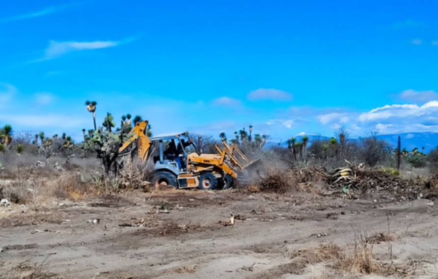 Foto: Cortesía Primera sentencia en Puebla por daño ambiental en zona protegida