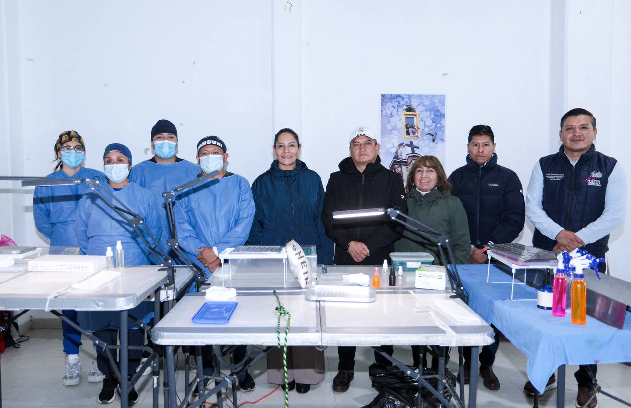 fomenta gct esterilizacion sach 2