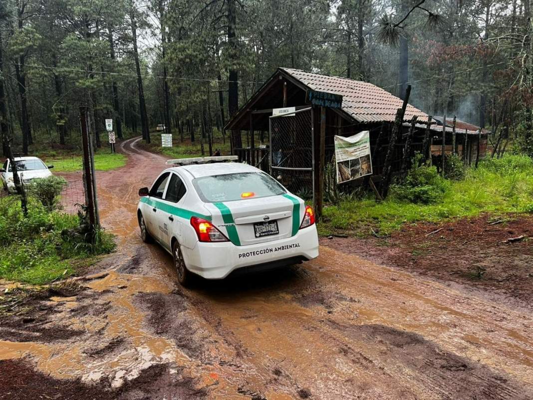 Propaet intensifica vigilancia para proteger el avistamiento de luciérnagas en Tlaxcala