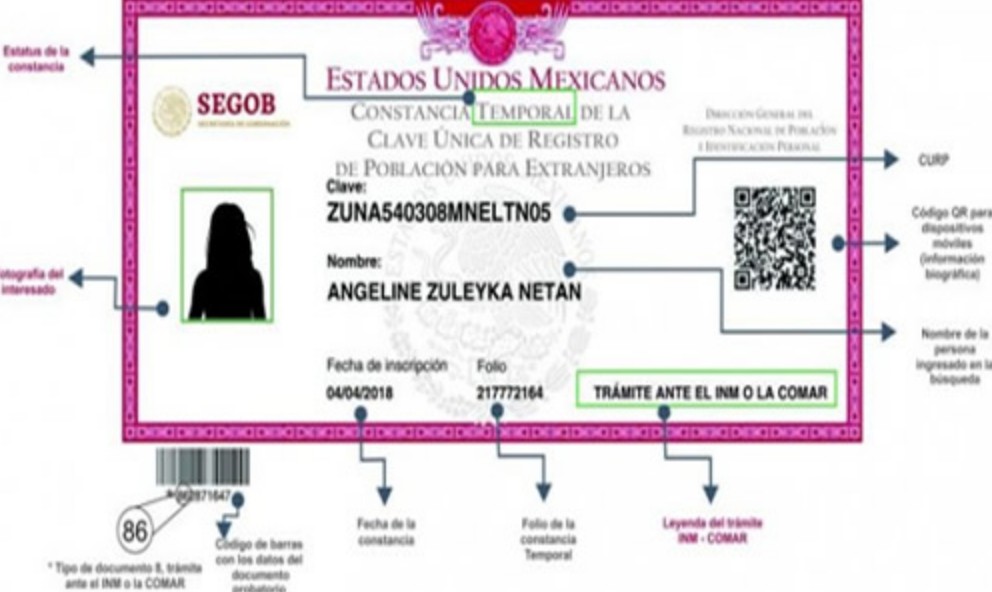 Foto: Cortesía Senado aprueba ley para digitalizar trámites y concentrar datos personales