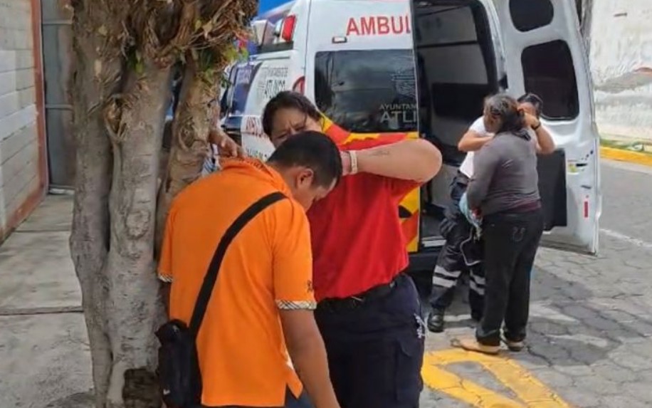 Foto: Cortesía Ataque masivo de abejas deja al menos 20 heridos en Atlixco