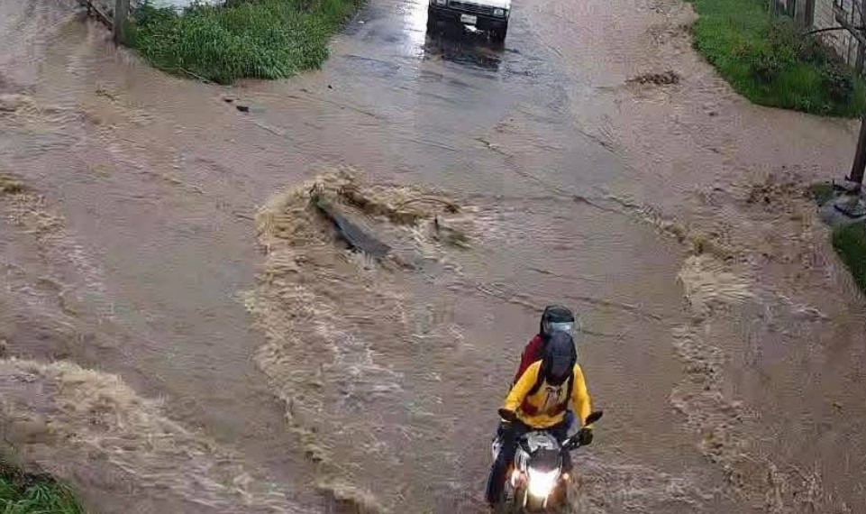 Foto: Cortesía Lluvias arrasan con viveros de cempasúchil en Atlixco
