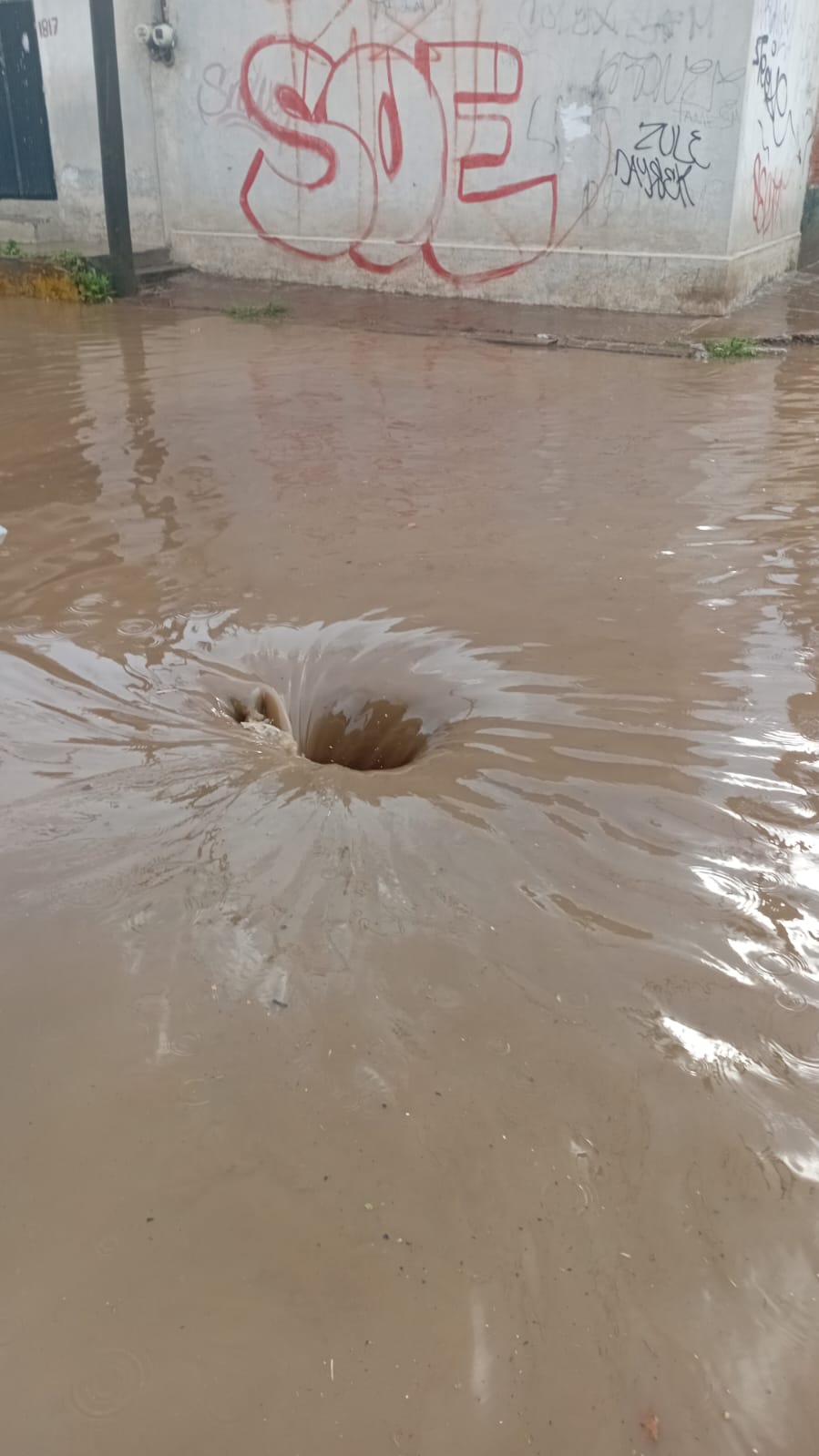 saldo blanco lluvias spch 3