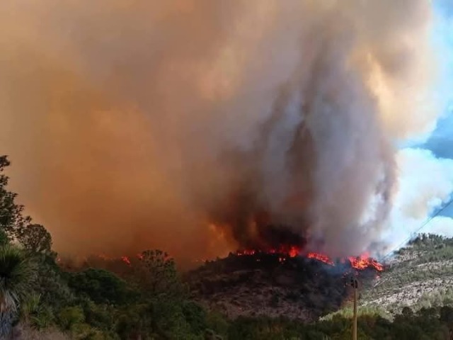 Foto: Cortesía Gobierno de Puebla adquirirá 10 vehículos para combatir incendios forestales
