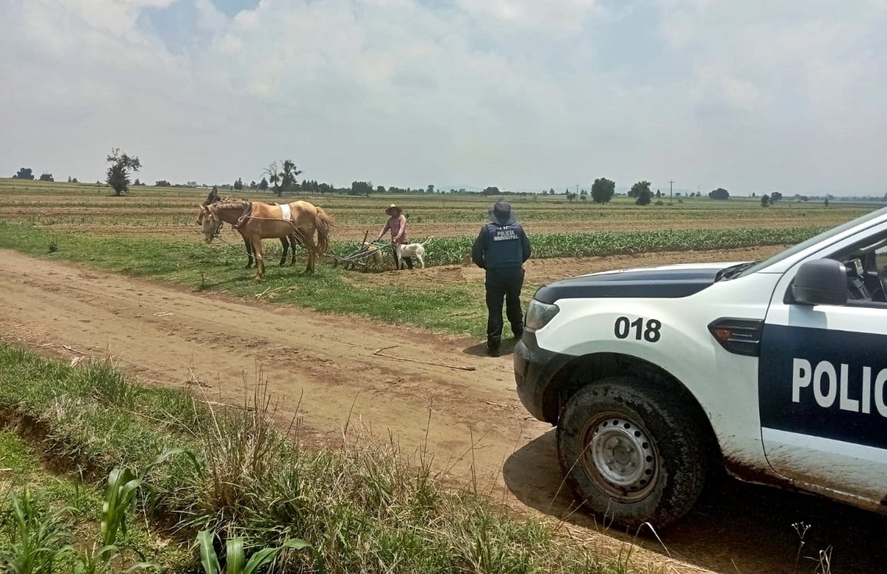 campesino seguro coronango 3