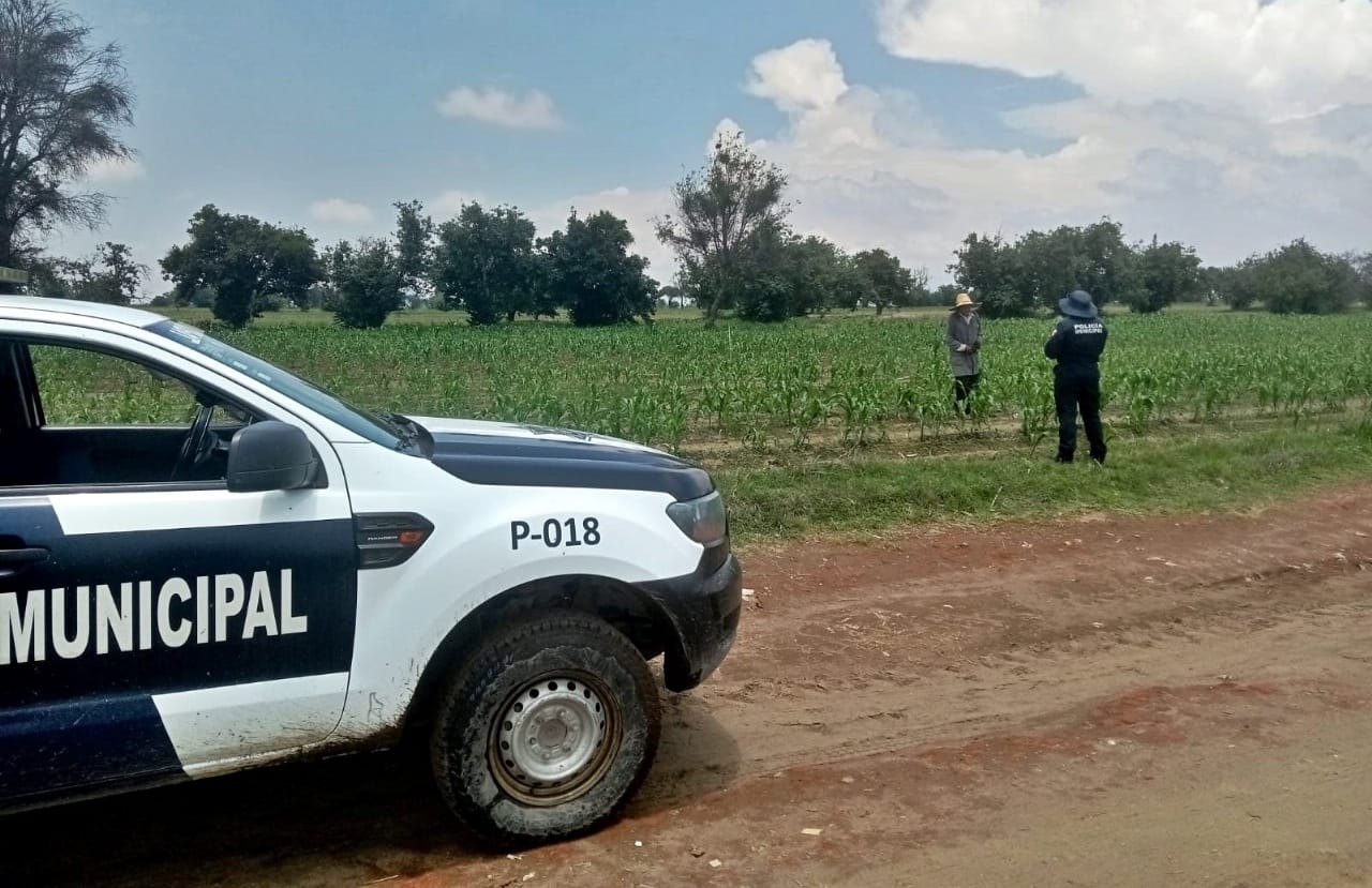 campesino seguro coronango 4