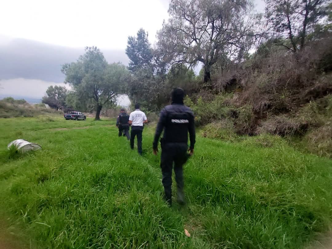 continua busqueda de mata 4