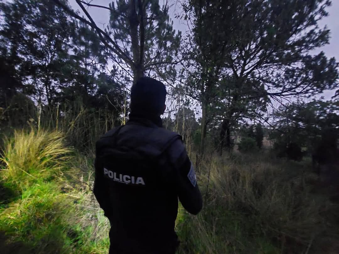 continua busqueda de mata 5