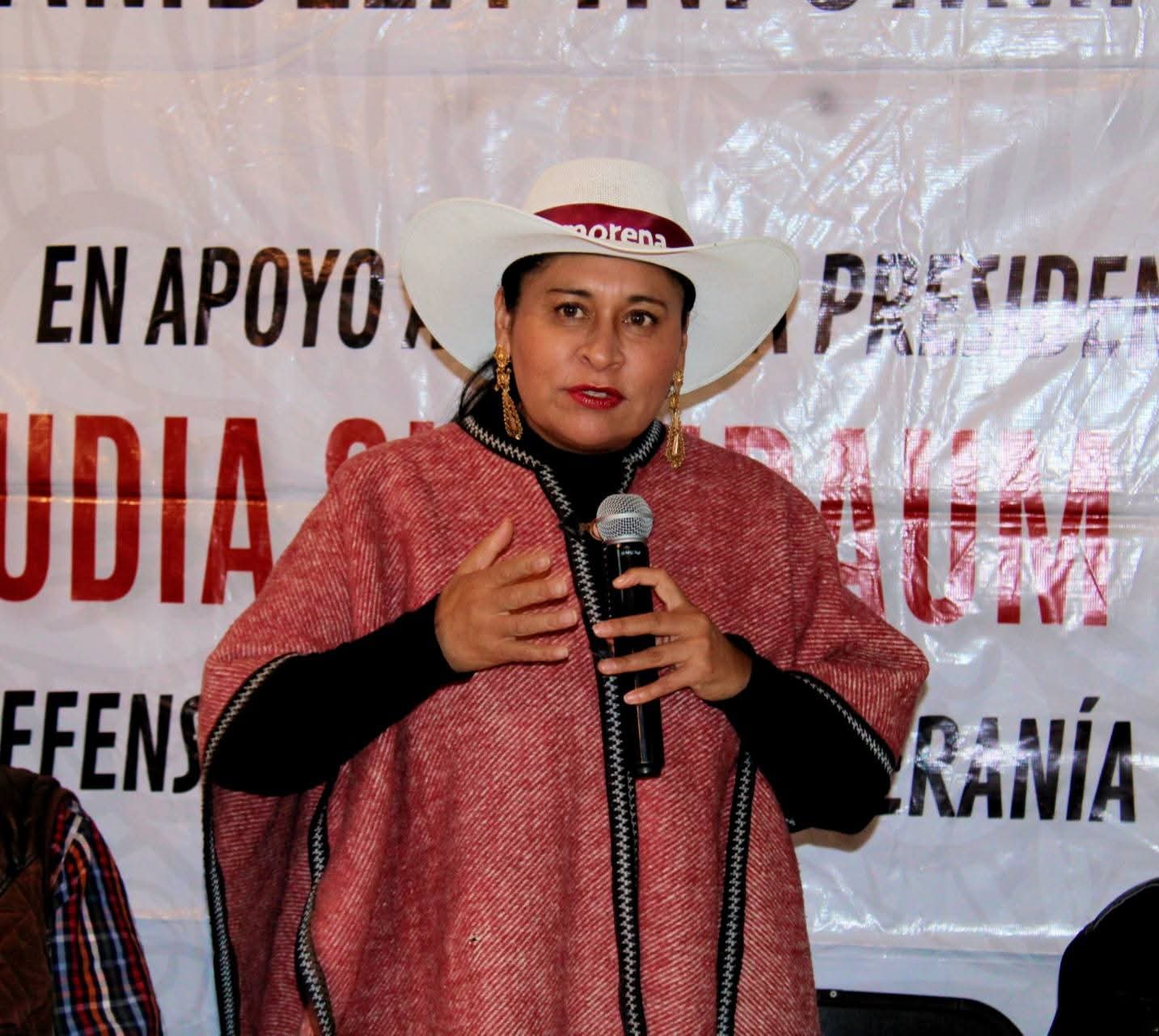 Encuesta perfila a Ana Lilia Rivera como la mejor candidata en MORENA