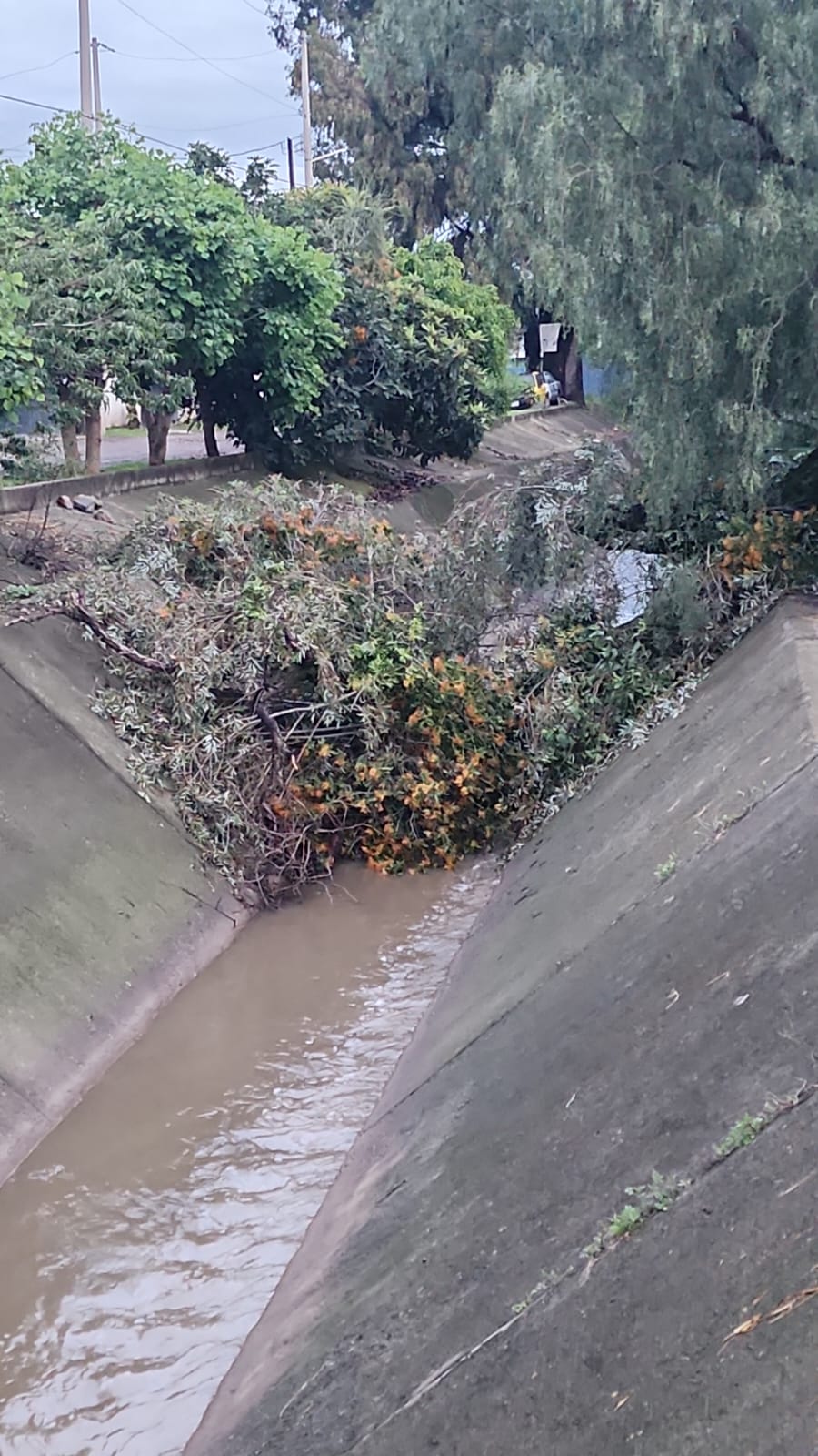 limpia lluvias spch 4