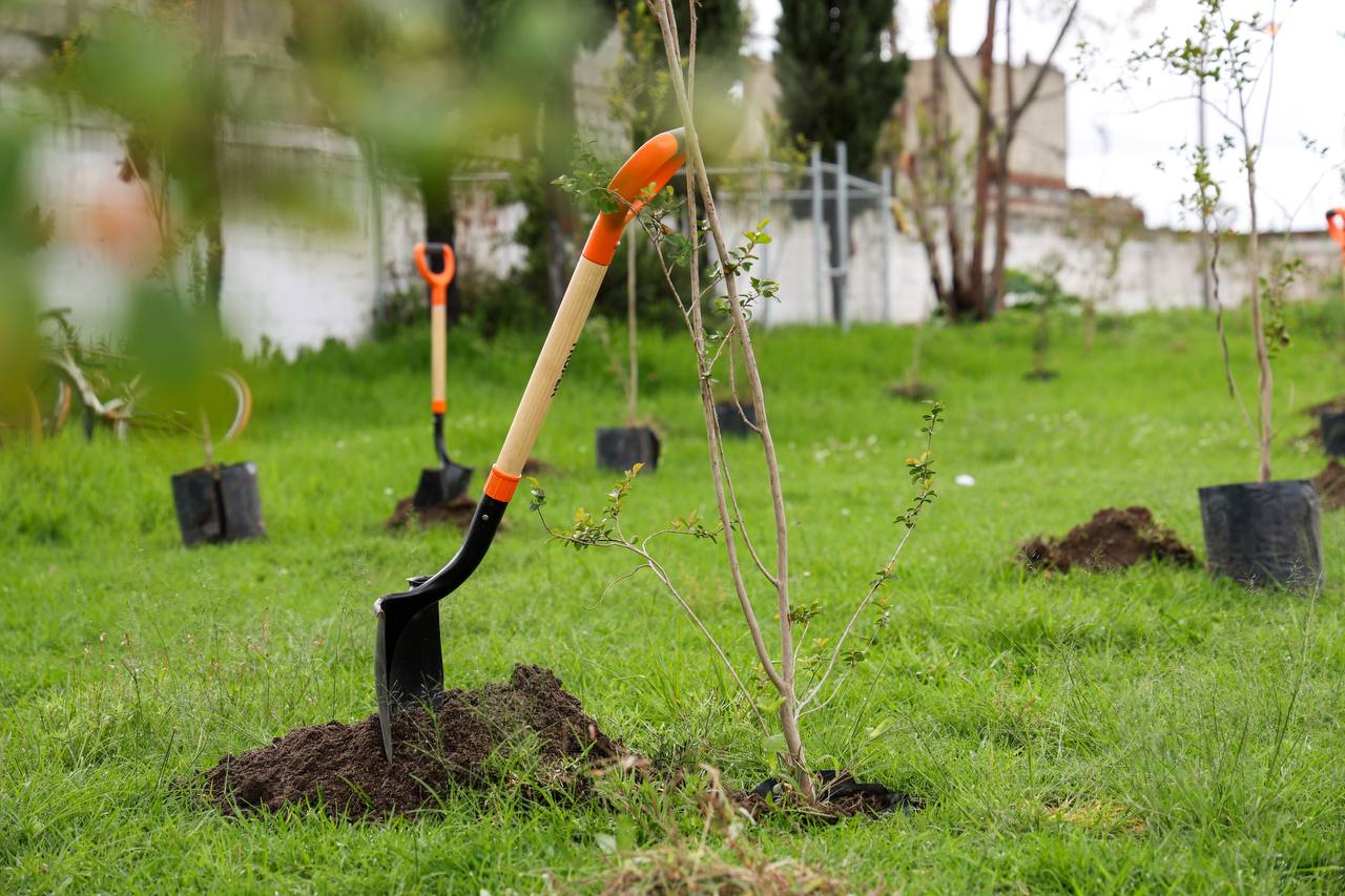 reforestacion escuela luis tehuiloyocan 3