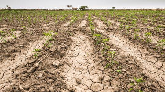 Erosión amenaza cultivos en siete municipios del poniente de Tlaxcala