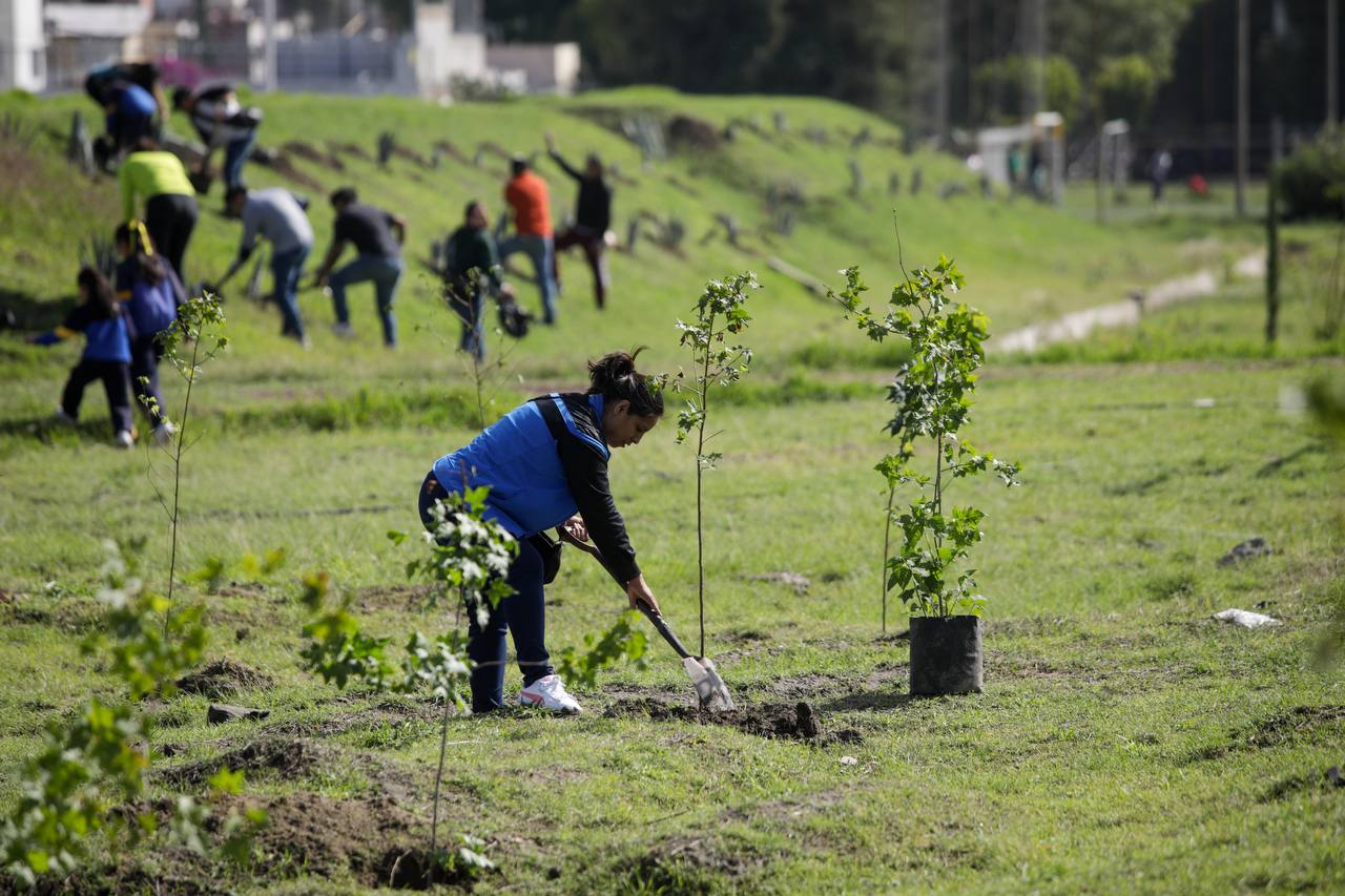 Encabeza Guadalupe Cuautle jornada de reforestación en el CEDAT por el Día Mundial del Medio Ambiente