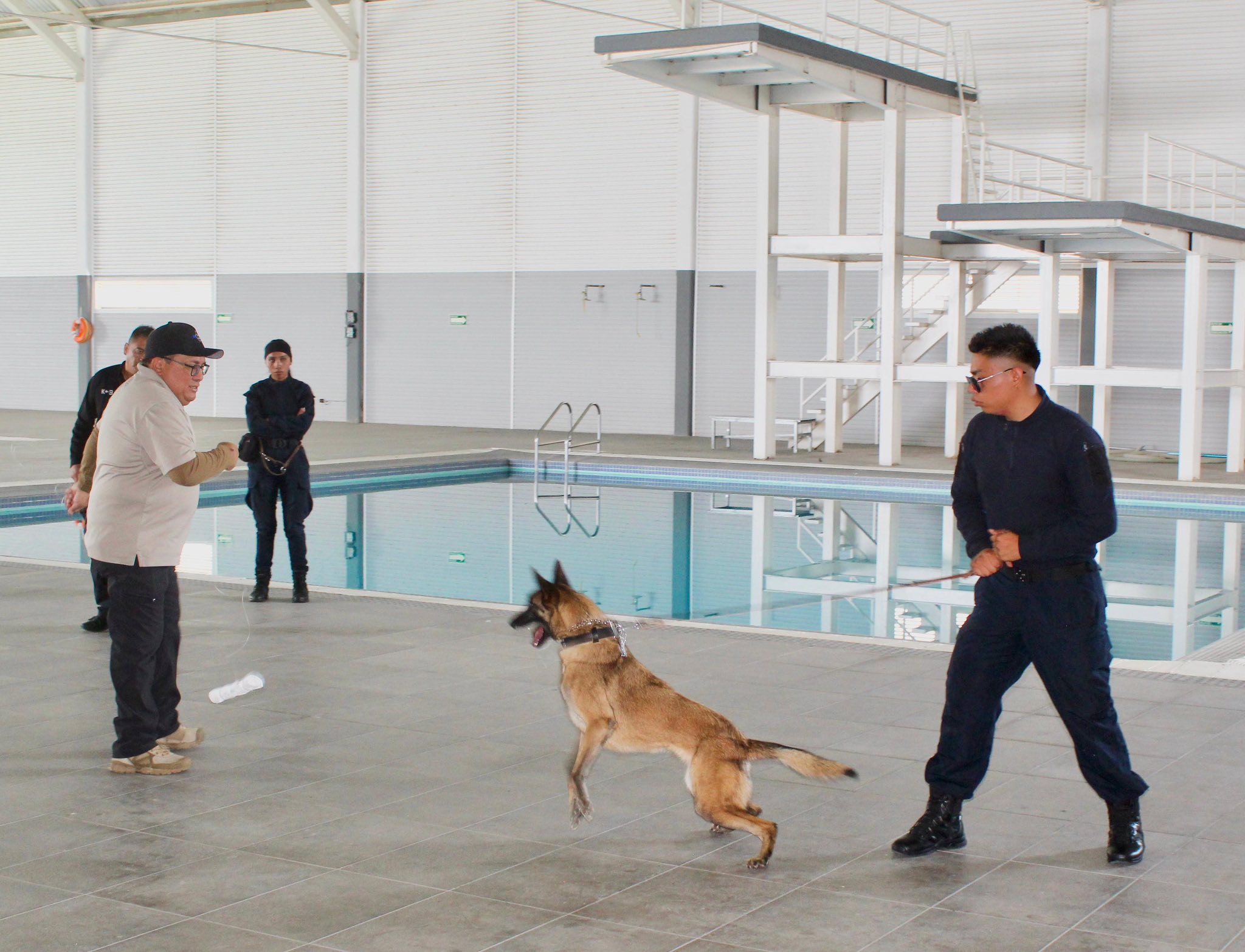 Por: Cortesía Lula Pineda Fortalece San Andrés Cholula seguridad con curso especializado para la Unidad Canina
