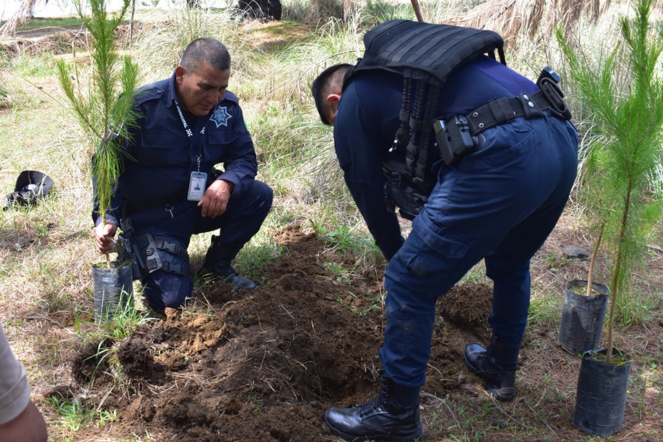 Por: Cortesía Lula Pineda Policía Montada participa en jornada de reforestación en el Cerro Zapotecas