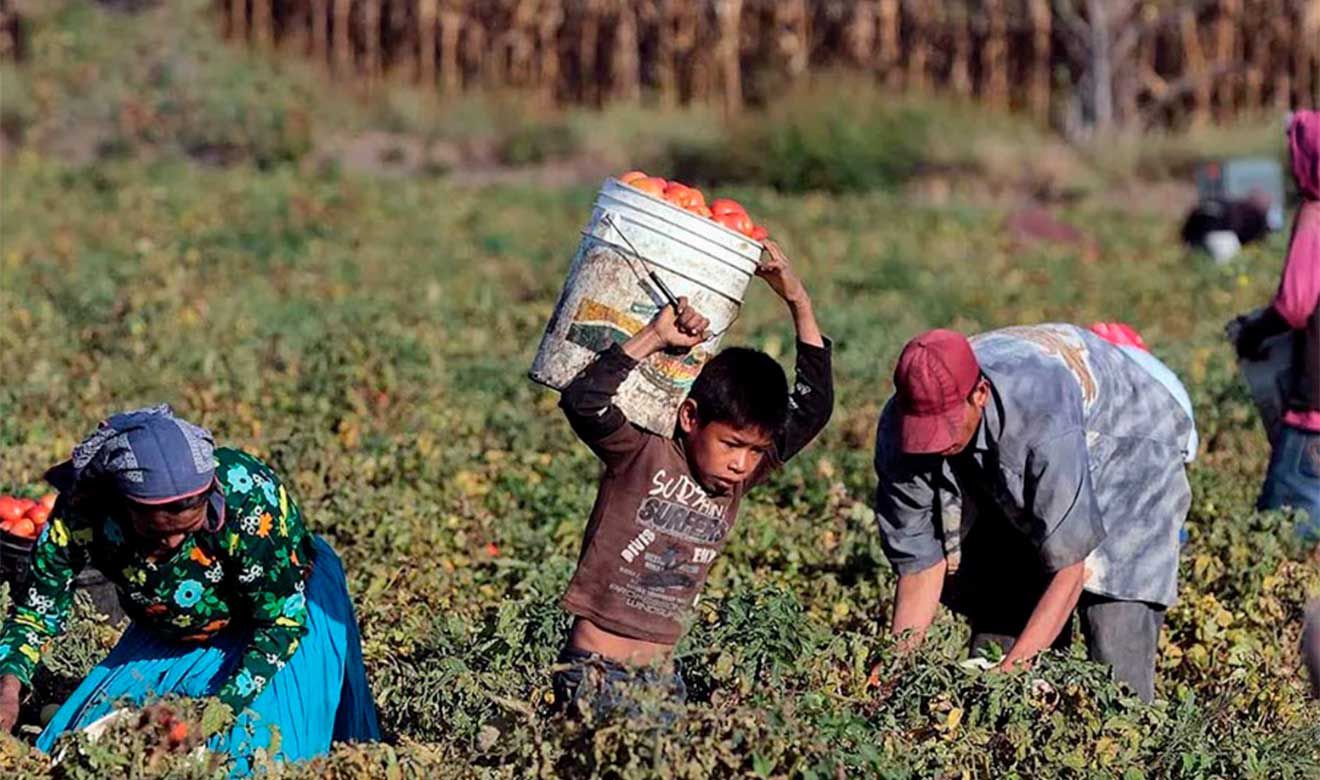En Tlaxcala 1 de cada 10 menores de edad se dedican a trabajar