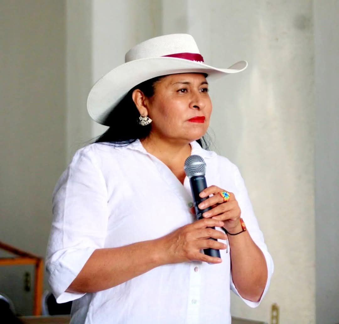 Seguridad y salud, retos de la Cuarta Transformación bajo el mando de Claudia Sheinbaum: Ana Lilia Rivera