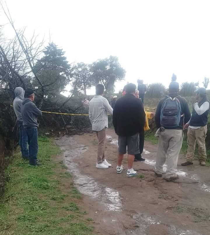 Buscaba refugio de la lluvia y le cae árbol encima en Nanacamilpa
