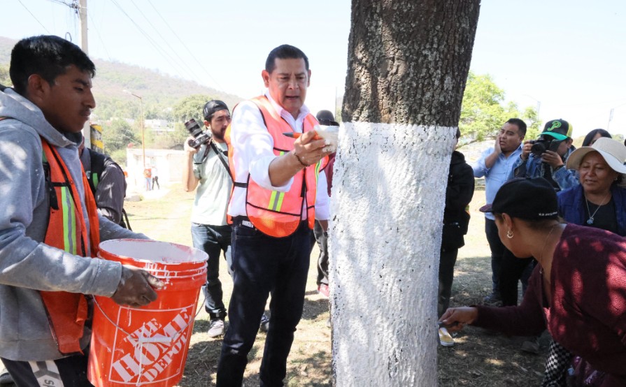 Foto: Cortesía Puebla fortalece árboles urbanos con tratamiento técnico-científico