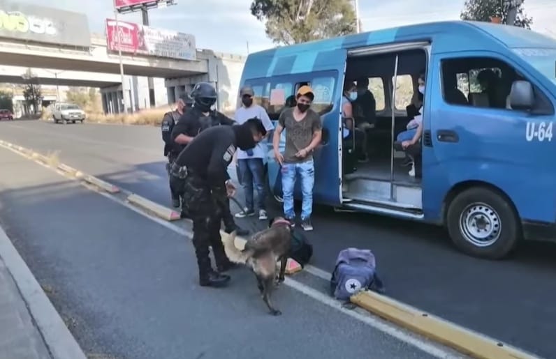 Por: Cortesía Lula Pineda Kia, la heroína de cuatro patas de San Pedro Cholula jubilada tras nueve años de servicio