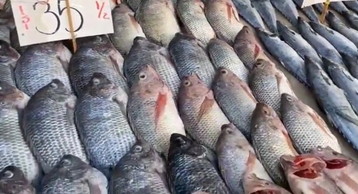 Foto: Cortesía Por Cuaresma, sector restaurantero espera incremento en ventas del 25%