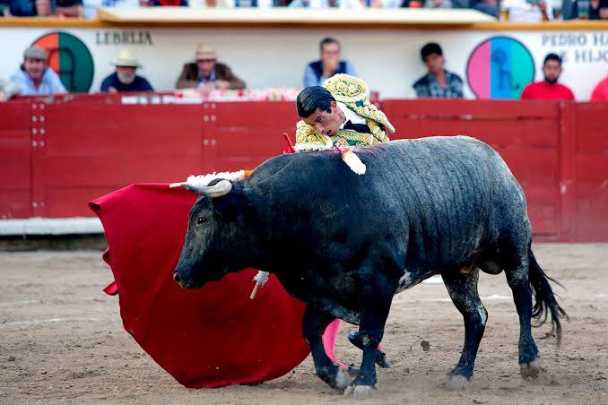 Foto: Cortesía No habrá corridas de toros en la Feria de Puebla 2025