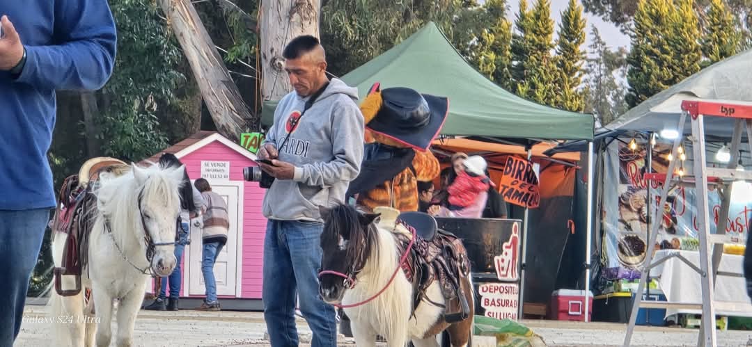 Foto: Cortesía Denuncian caso de maltrato y explotación animal en Feria de Apizaco