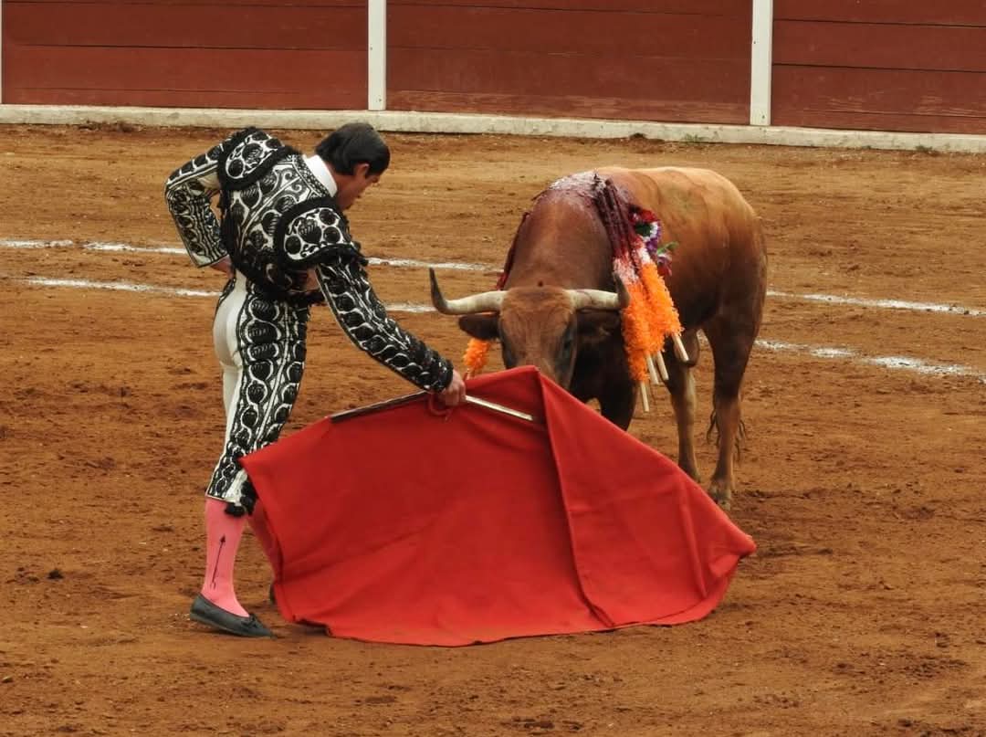 Foto: Archivo  Lamenta ITDT eliminación de violencia en Fiesta Brava
