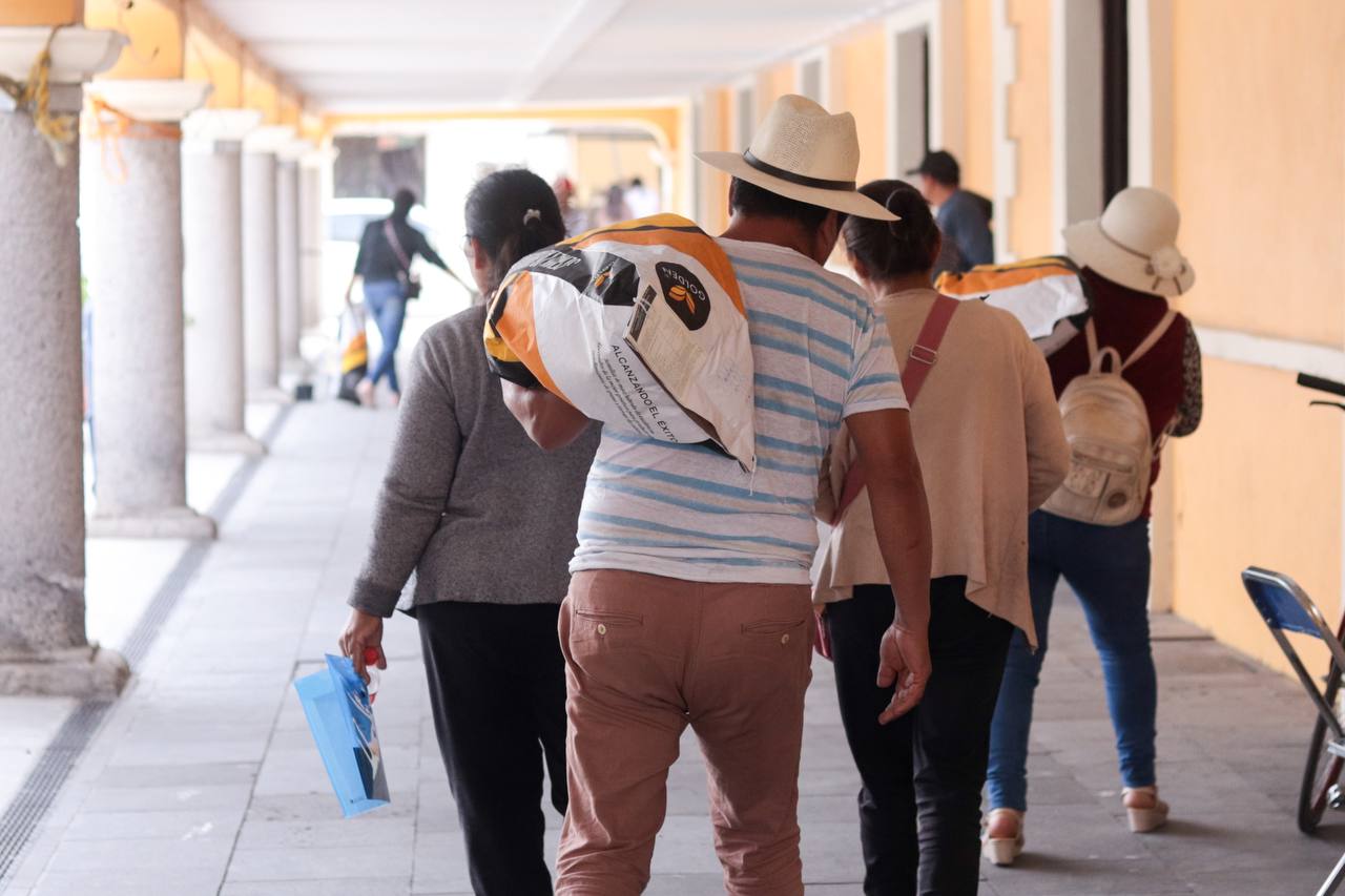 entrega de cemilla mejorada sach 3