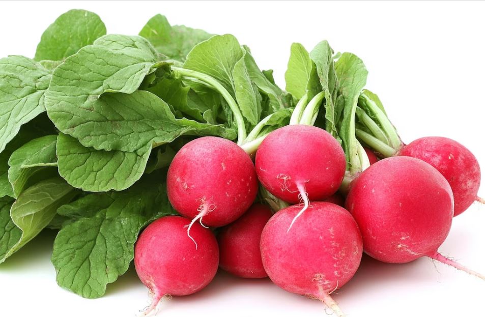 Foto: Cortesía Rábano: Un superalimento para la salud hepática