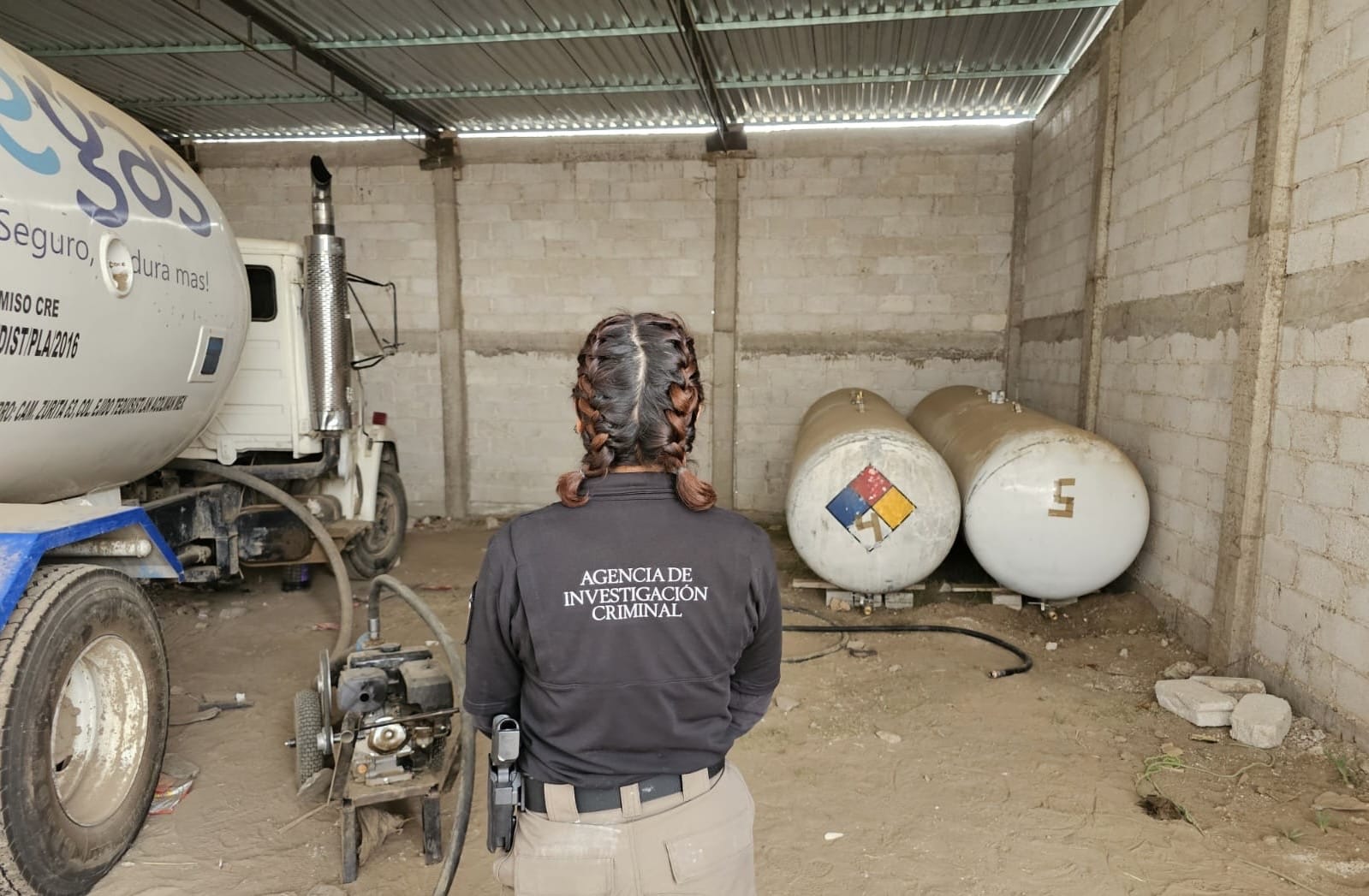 Foto: Cortesía Preocupa alza de huachigas en Tlaxcala