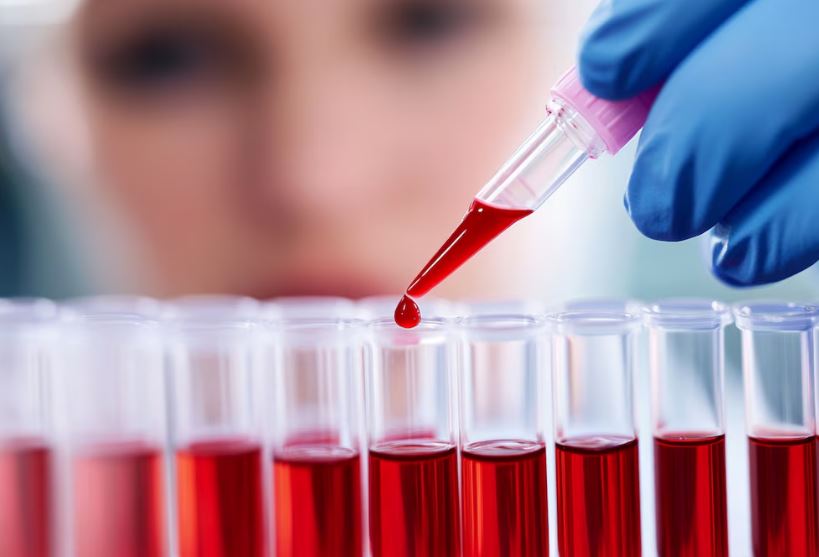 Foto: Cortesía El grupo sanguíneo B: ¿la clave de la juventud y longevidad?