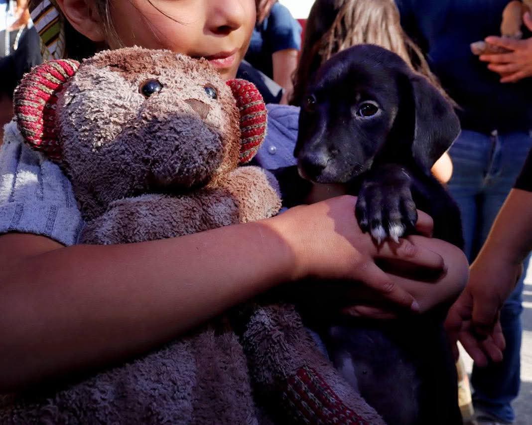 SEPE, única autoridad para impartir educación sobre bienestar animal en Tlaxcala