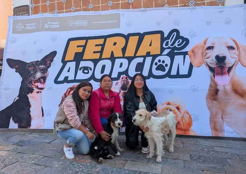Foto: Cortesía Atlixco abre su corazón a los perros rescatados
